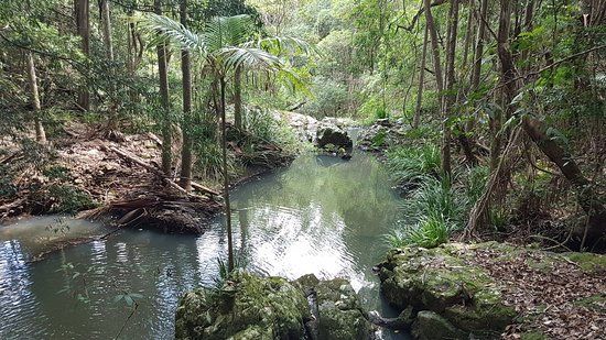Kondalilla National Park